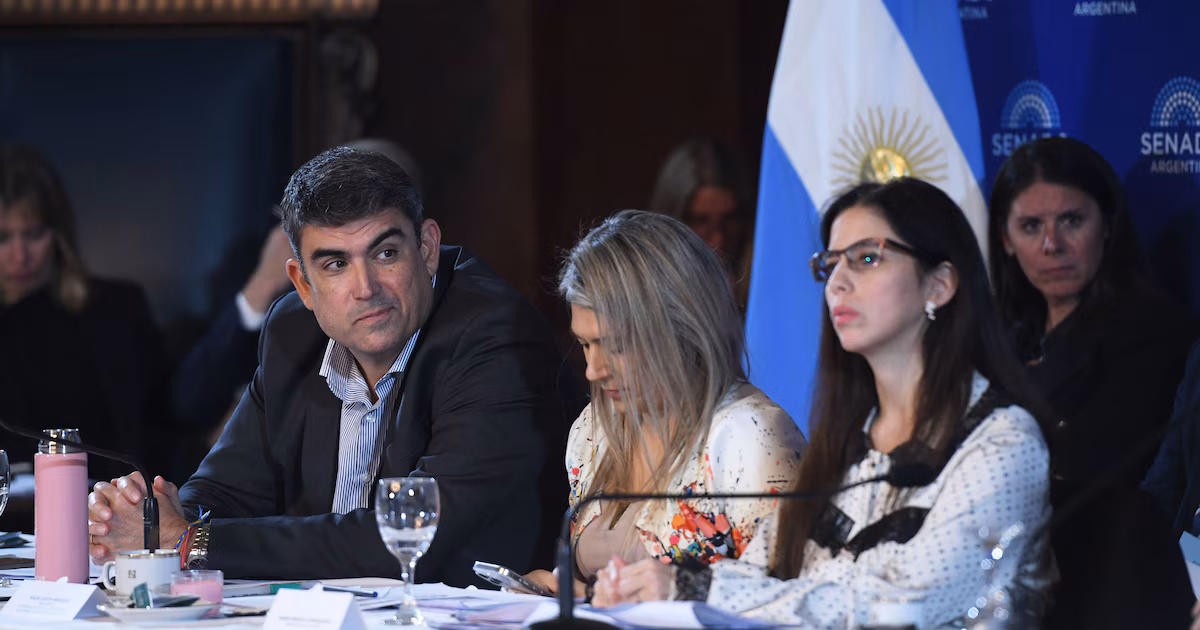 El Ejecutivo busca acelerar un acuerdo en el Senado para reformar la ley de salud mental