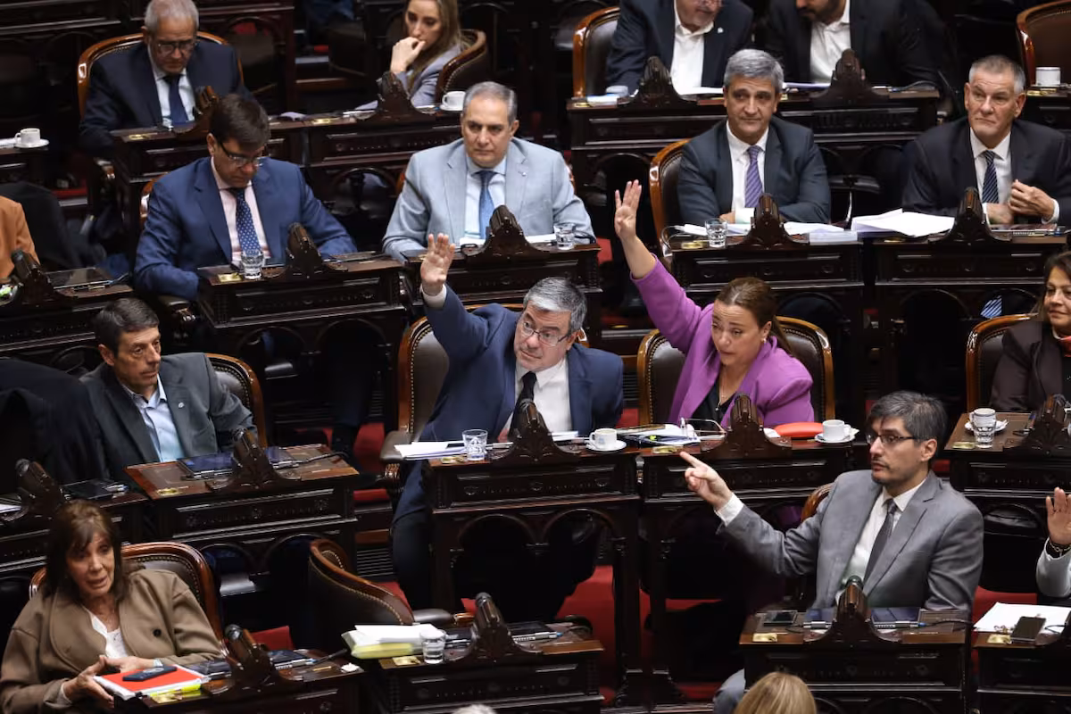 La oposición convoca sesión especial en Diputados para discutir discapacidad, morosidad y DNU 70/23, tras fallo sobre tierras