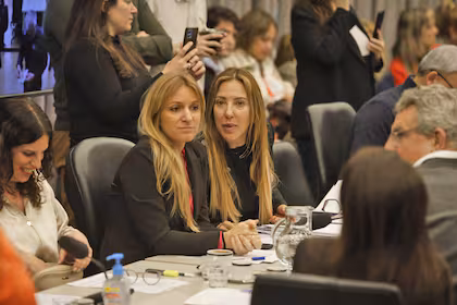El Gobierno defendió en Diputados la Ley de Defensa de Malvinas y envió a una funcionaria para explicarla