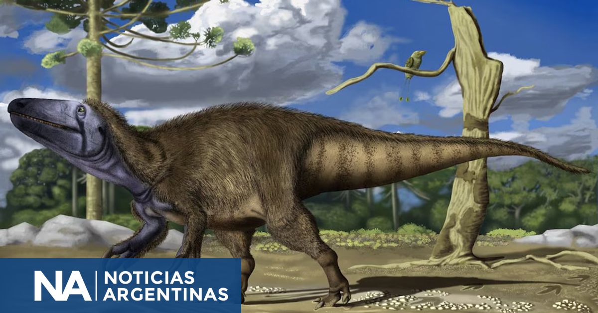 Un nuevo depredador prehistórico en Neuquén: Rinconraptor pipoae, un carnívoro de unos siete metros
