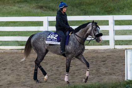 Napoleón Solo, el joven caballo que su jinete sabe canalizar para la Breeders’ Cup Classic