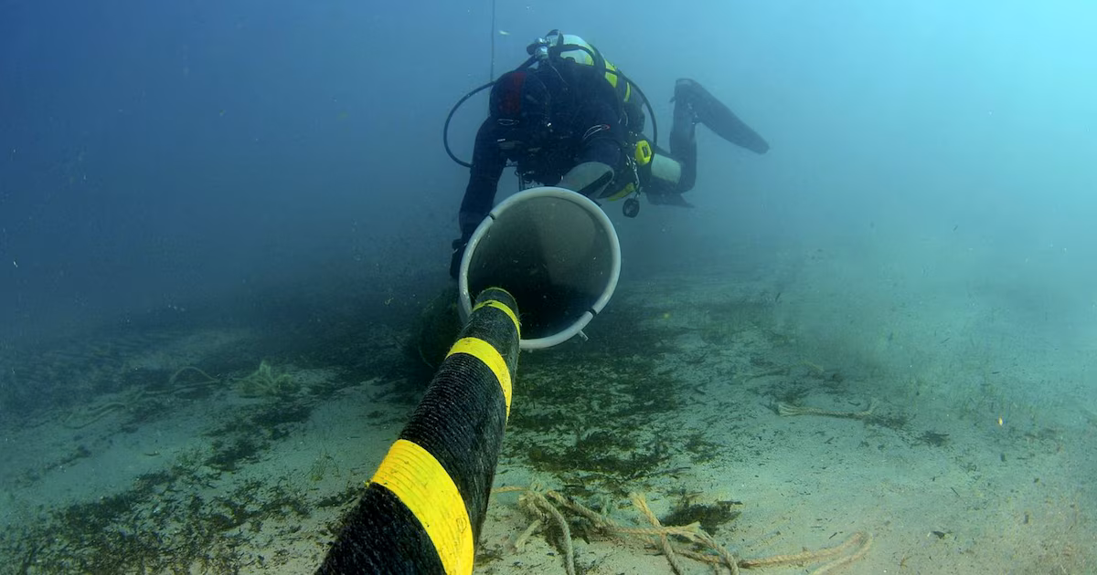 Meta avanza con Petal: cable submarino transatlántico EE. UU.-Francia, con capacidad de 1 petabit por segundo