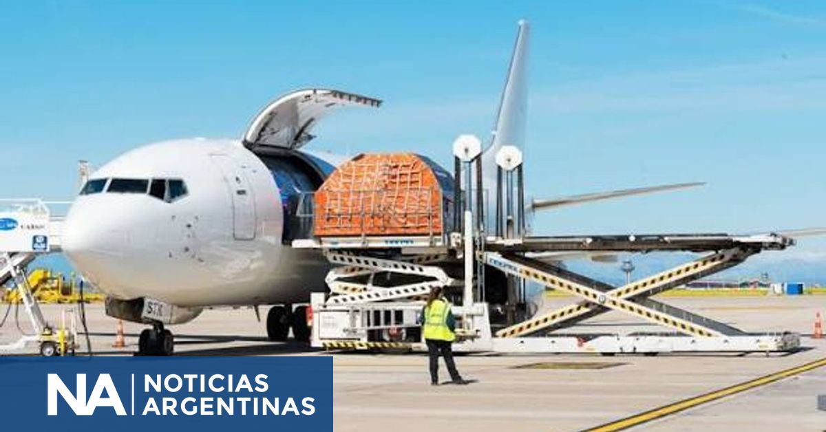 La demanda mundial de carga aérea crece 7,7% interanual en septiembre, según IATA