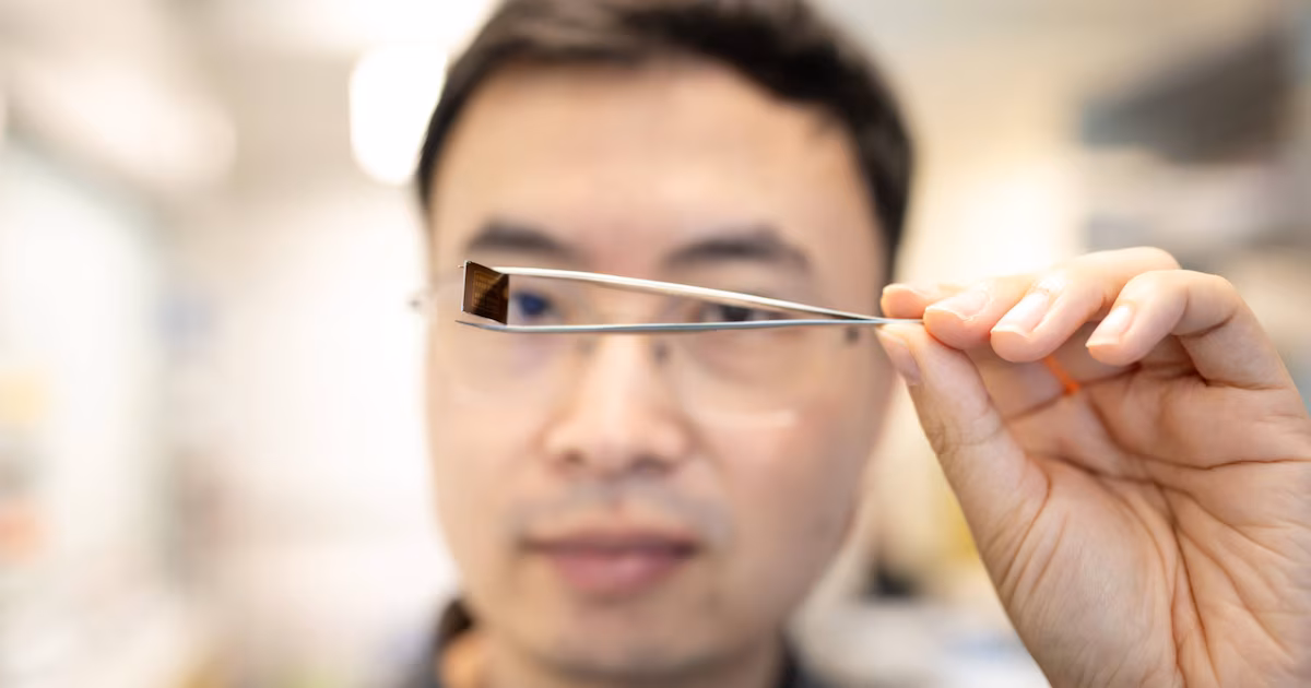 Chip 2D que se borra y reprograma con luz