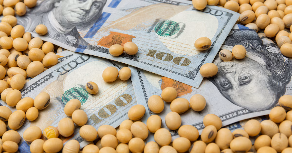 Récord histórico de ventas de granos: 105 millones de toneladas y precios firmes marcan la campaña 2025/26