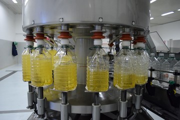 El girasol argentino mantiene impulso exportador ante cosecha récord y precios internacionales elevados