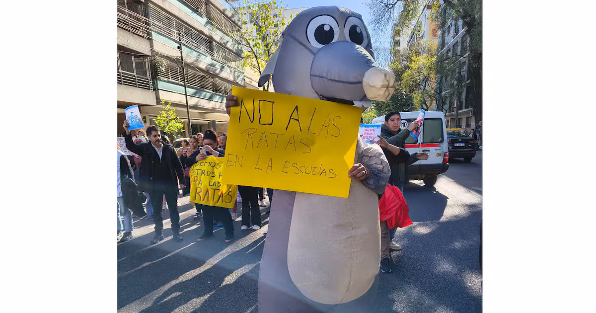 Ratas siguen en la escuela N°12 y los alumnos no asisten