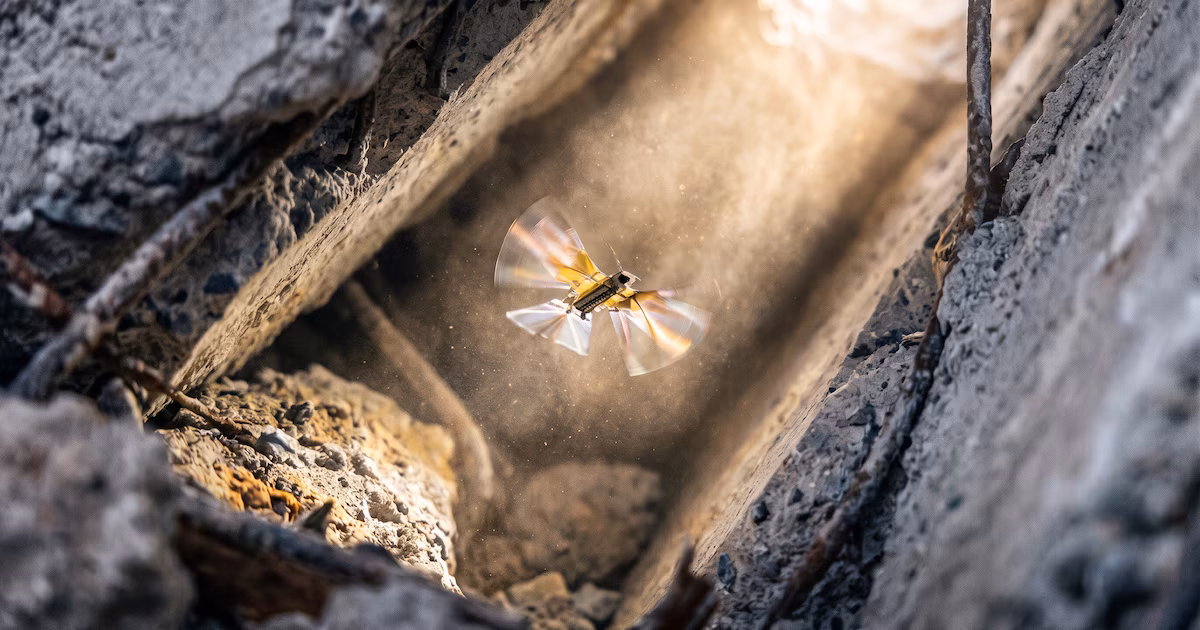Robot volador inspirado en insectos, desarrollado por UCLA y UC Davis, promete explorar entornos extremos