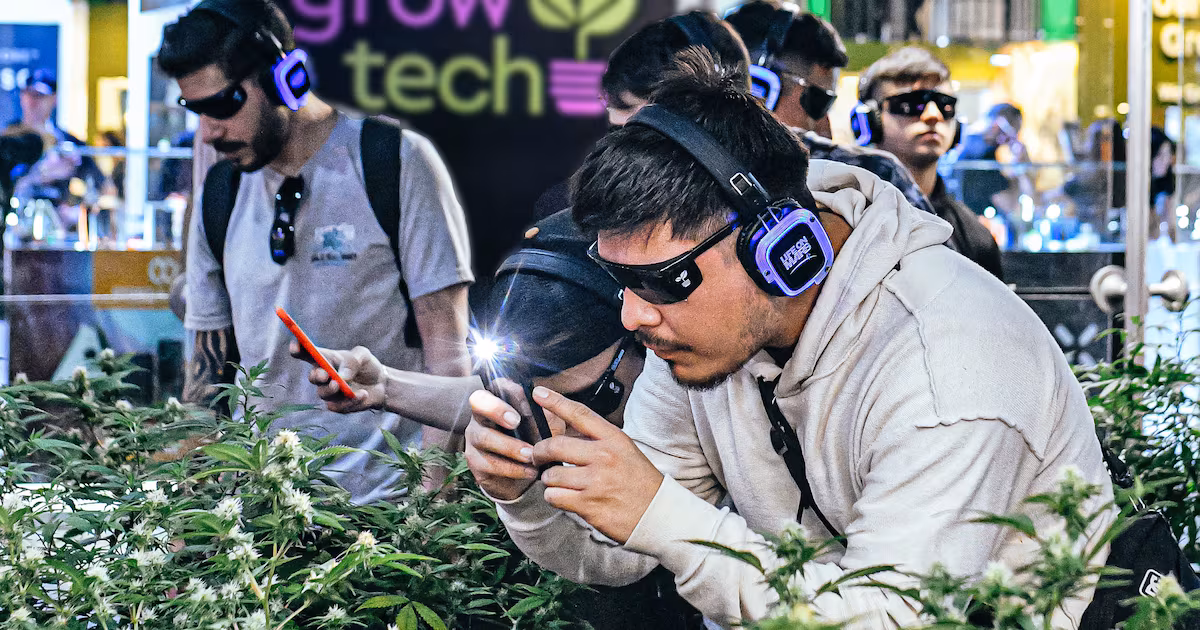 Expo Cannabis 2026: la planta que redefine la vida cotidiana en Buenos Aires