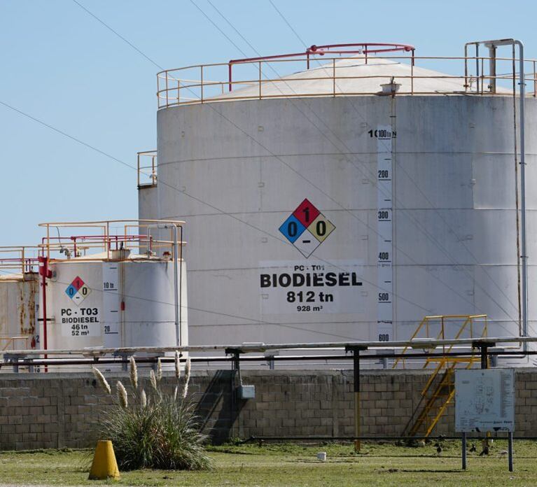 Senado dio un primer paso para la reforma de biocombustibles con apertura gradual al mercado