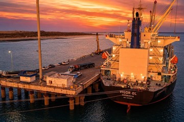 Exportaciones al alza y la balanza de pagos cierra el 2T-2026 con superávit de US$ 2.214 millones