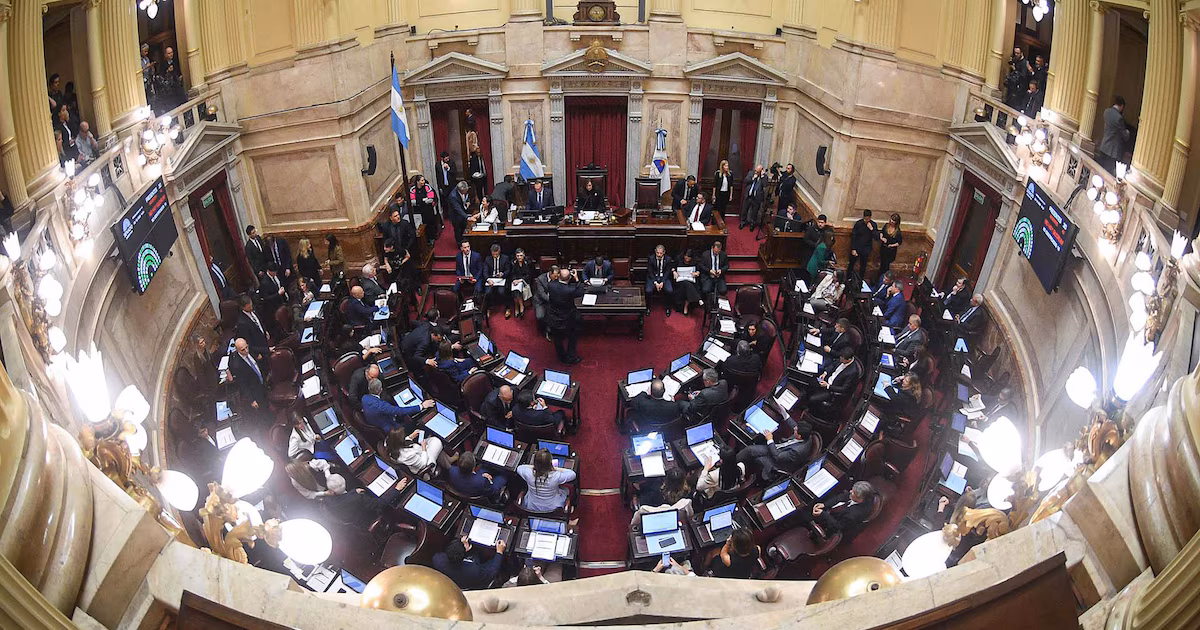 El Senado aprobó cambios en la ley de salud mental y la envió a Diputados