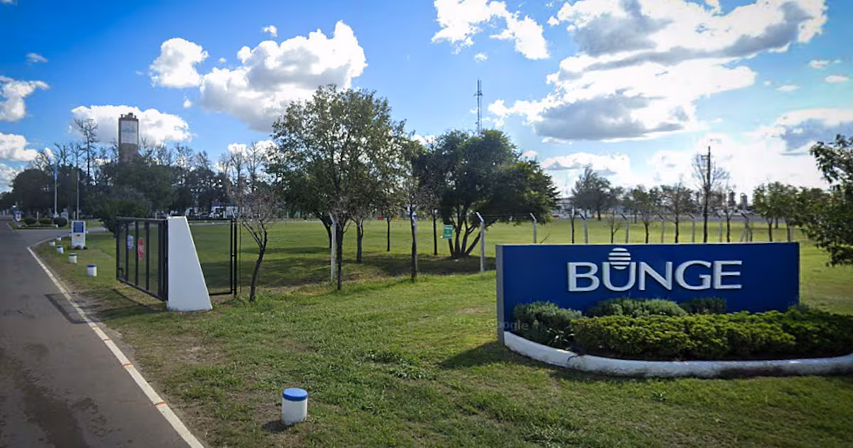 Bunge cierra planta en Campana y BASF reduce turnos en General Lagos ante caída de la demanda