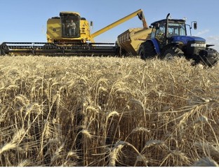 Mercosur: mientras Brasil, Uruguay y Paraguay respaldan al agro, Argentina concentra recursos en la economía y el Estado
