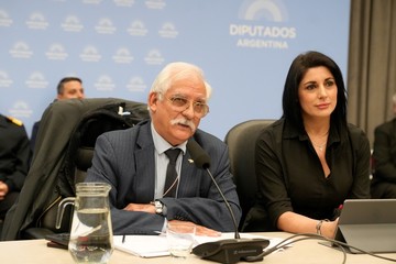 Ley Malvinas: el oficialismo no logra dictamen y anunciará cambios al proyecto de Milei
