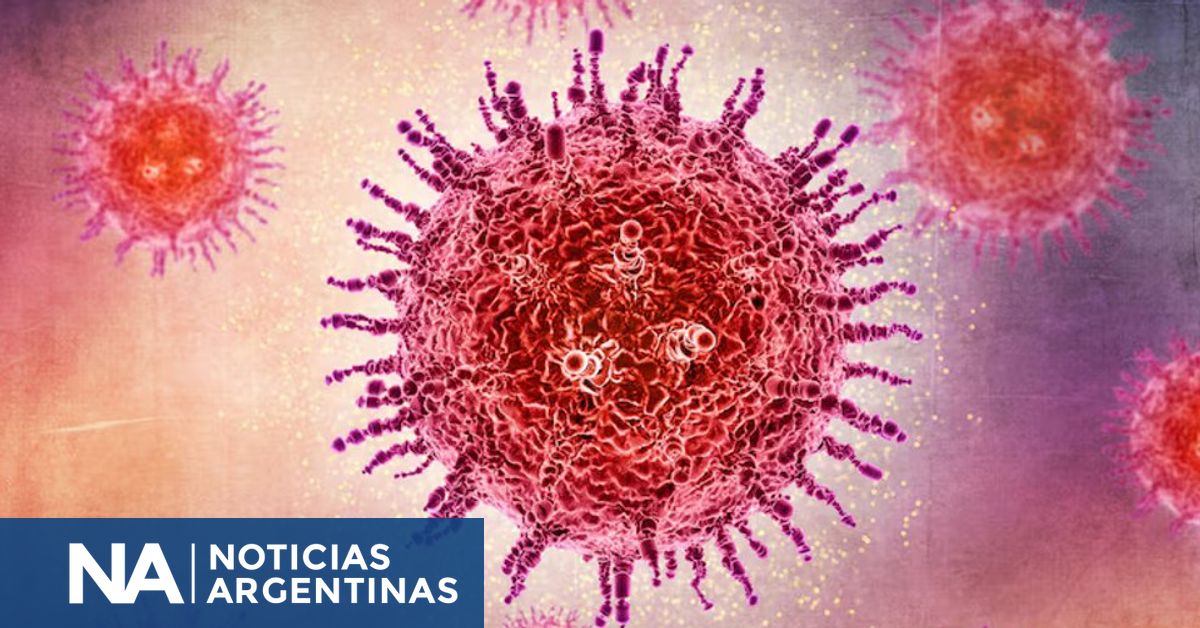 Primer caso humano del virus Shamonda confirmado en Francia; un hombre falleció en Lyon