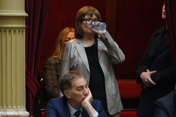 El Senado reanuda sesiones con foco en la Ley de Salud Mental y avisora el informe de Santilli; la agenda incluye RIIR y carbono