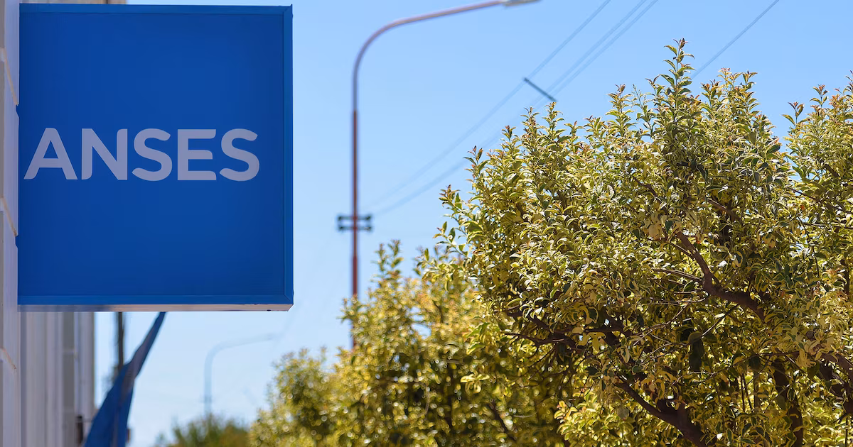 ANSES: fechas y montos para DNI final 2 en octubre de 2026, con bono y cambios en asignaciones