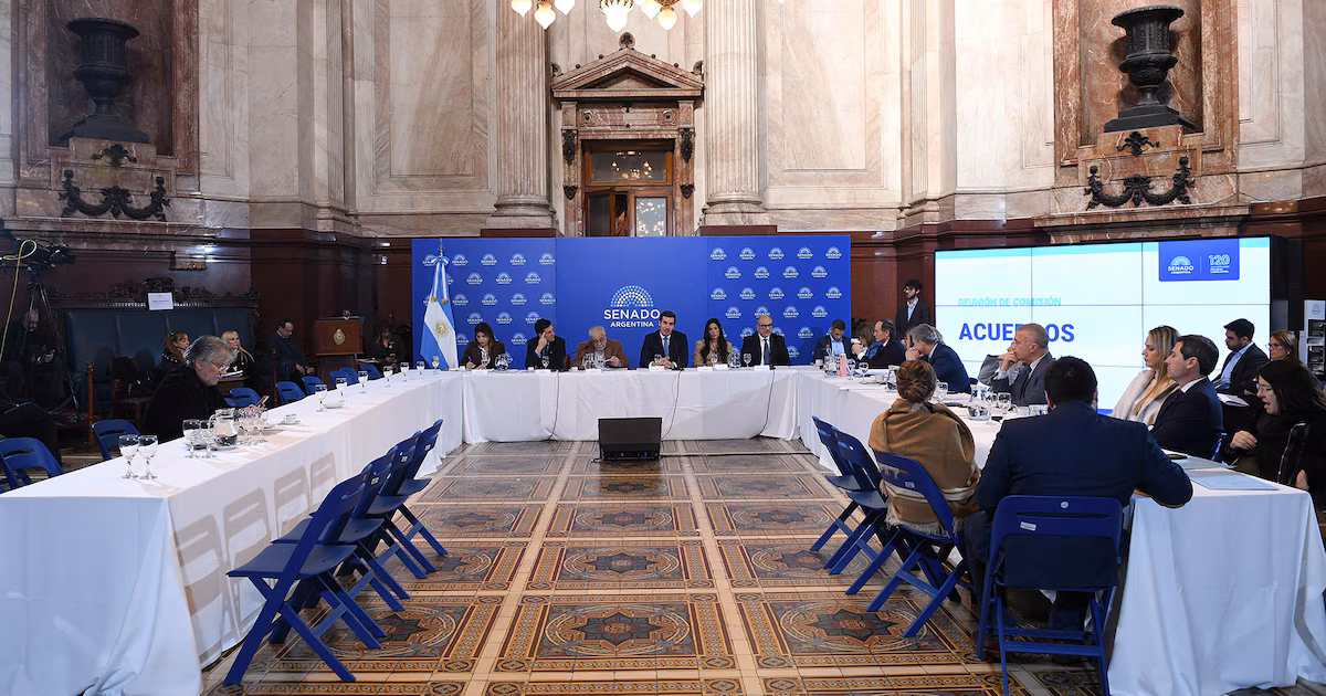 El Senado continuará con actividad reducida y el foco estará puesto en Diputados